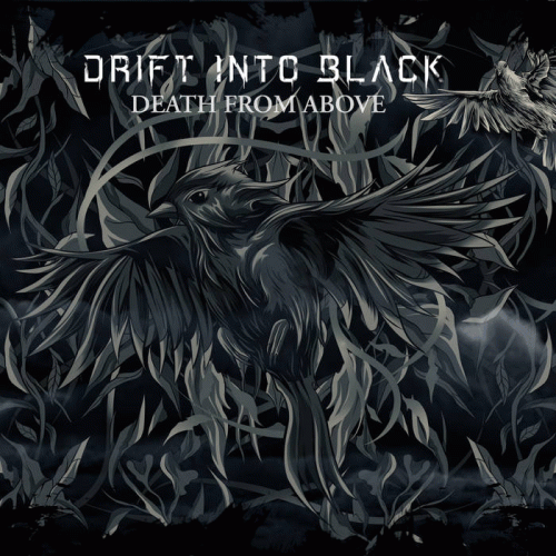 Drift Into Black : Death from Above 2023